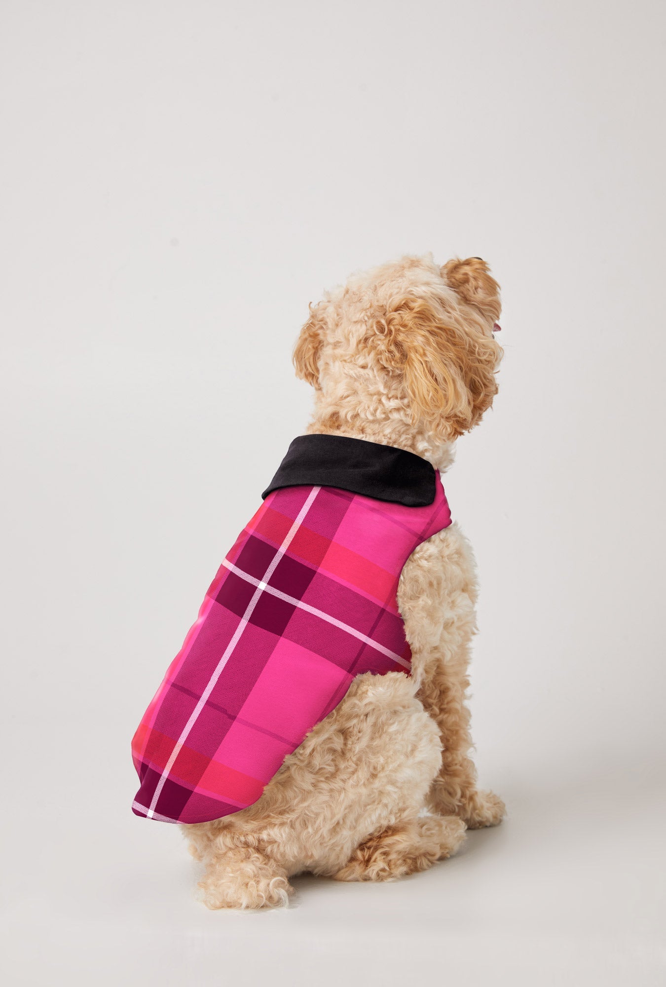 Aurora Plaid Flannel Dog Jacket