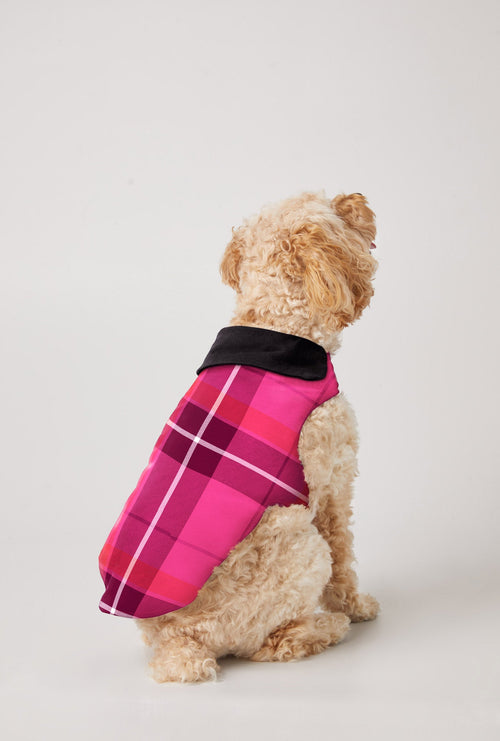 Aurora Plaid Flannel Dog Jacket