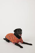 Dog Pajama - Daisy Foulard