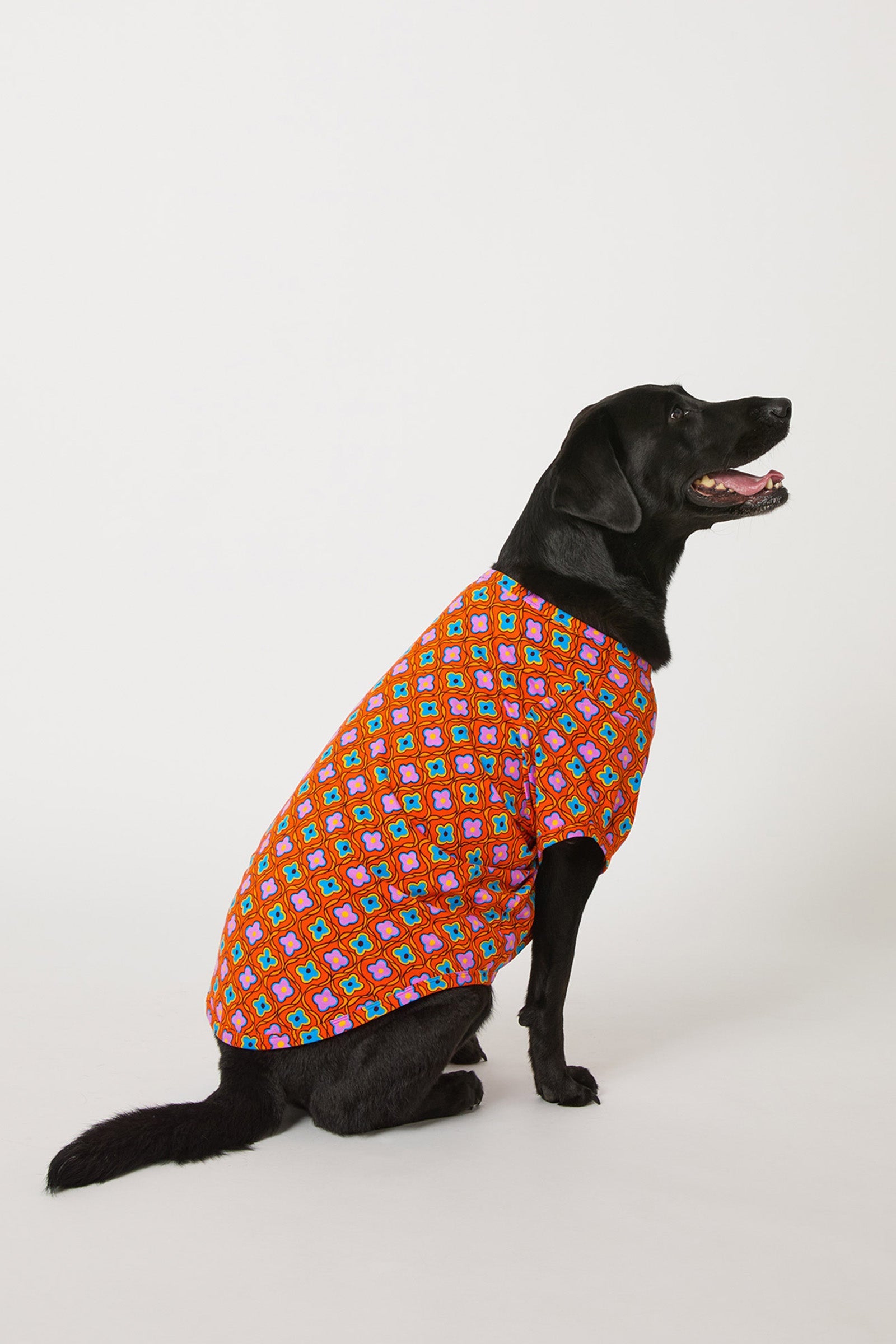 Dog Pajama - Daisy Foulard