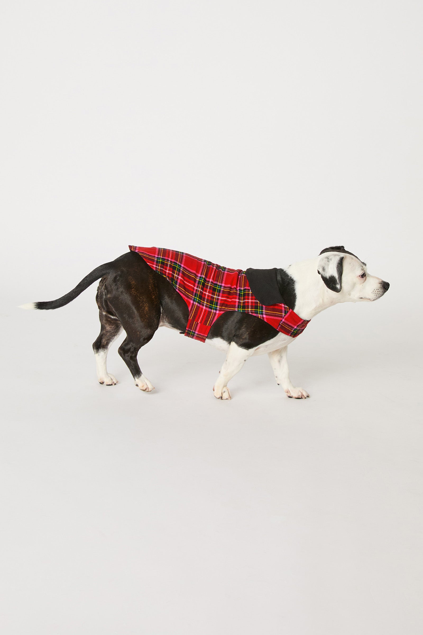 Dog Pajama - Christmas Plaid