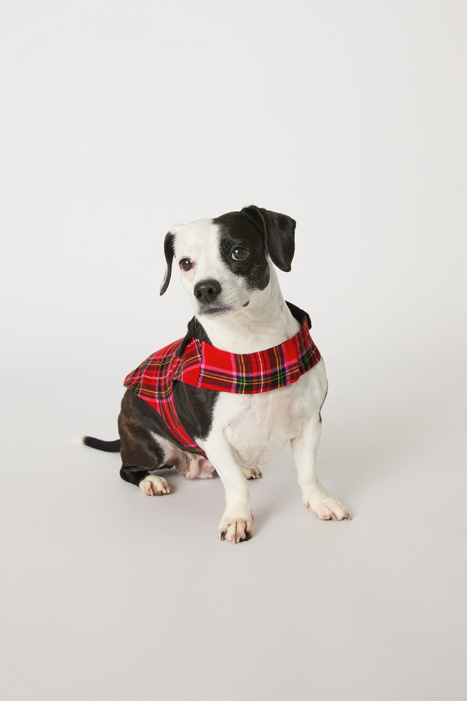 Dog Pajama - Christmas Plaid