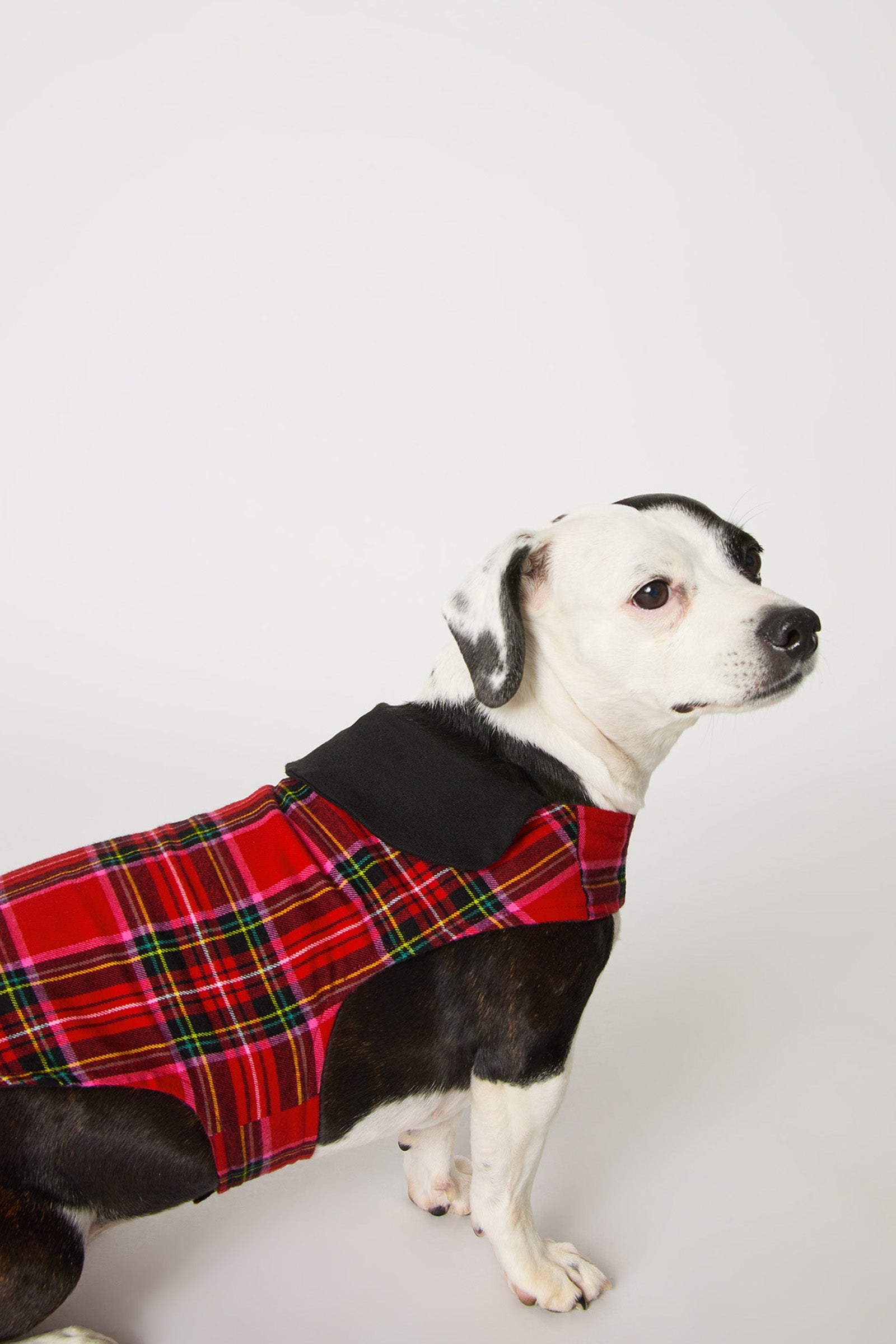 Dog Pajama - Christmas Plaid