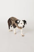 Dog Pajama - Leopard Stripe