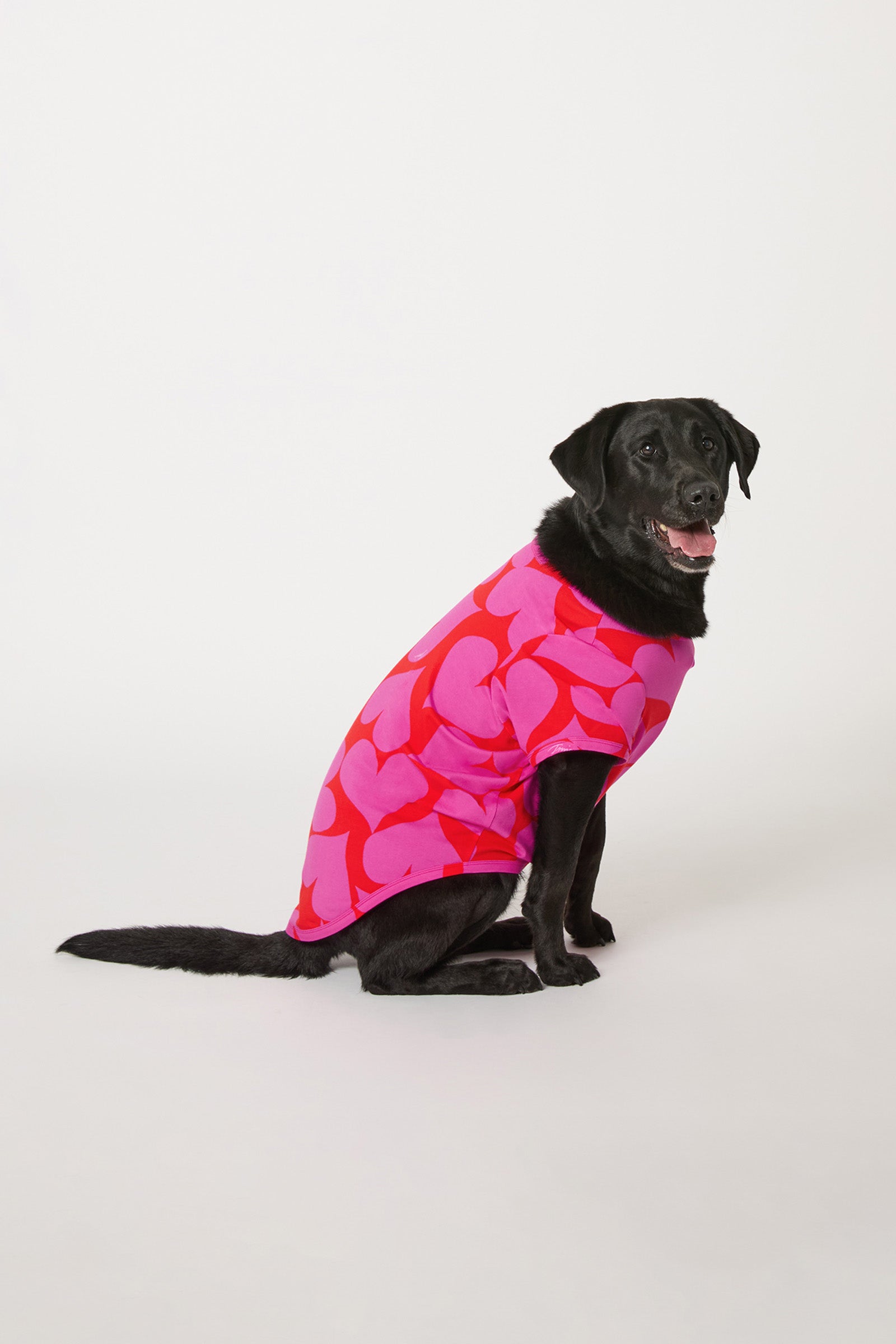 Dog Pajama - Hearts