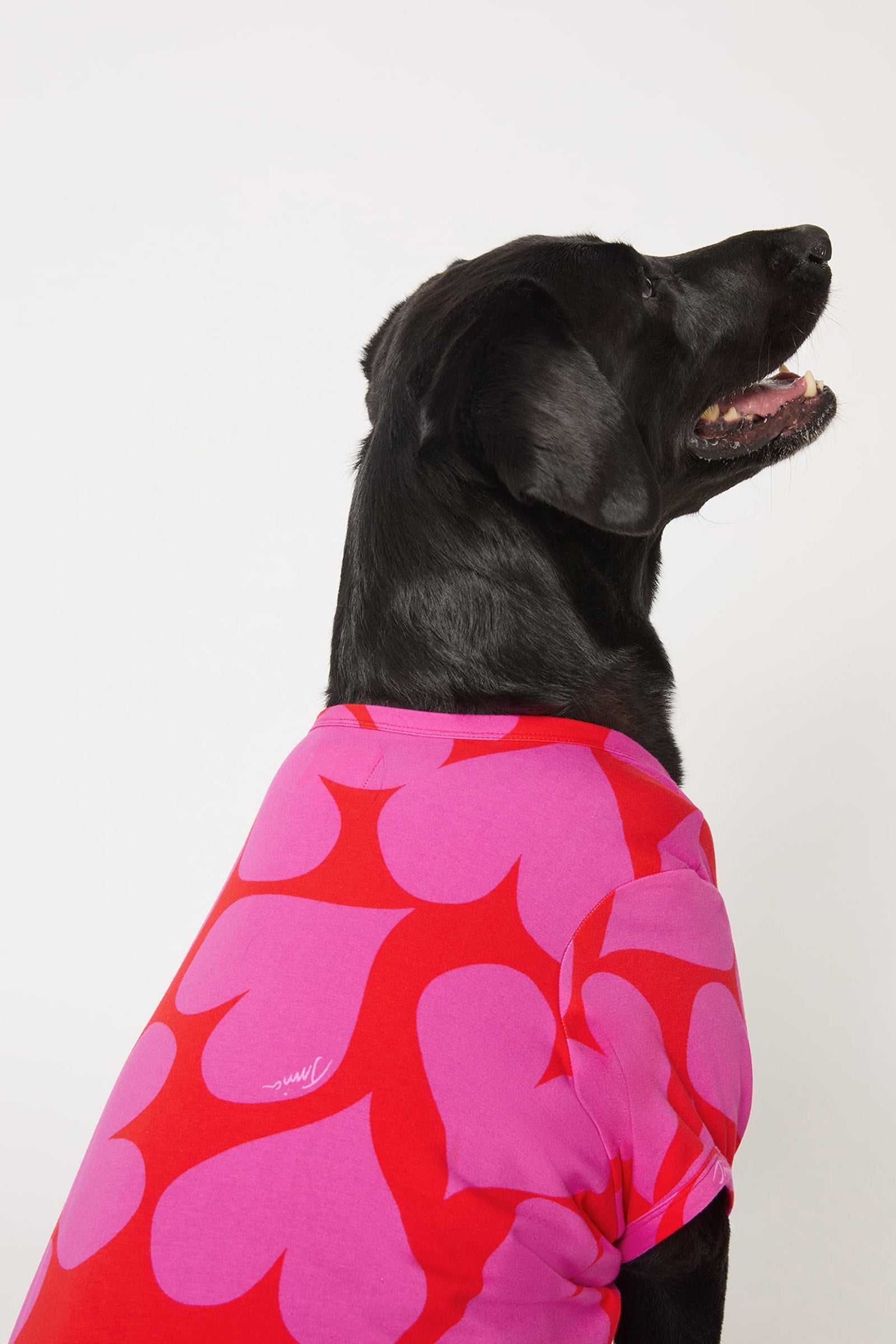 Dog Pajama - Hearts