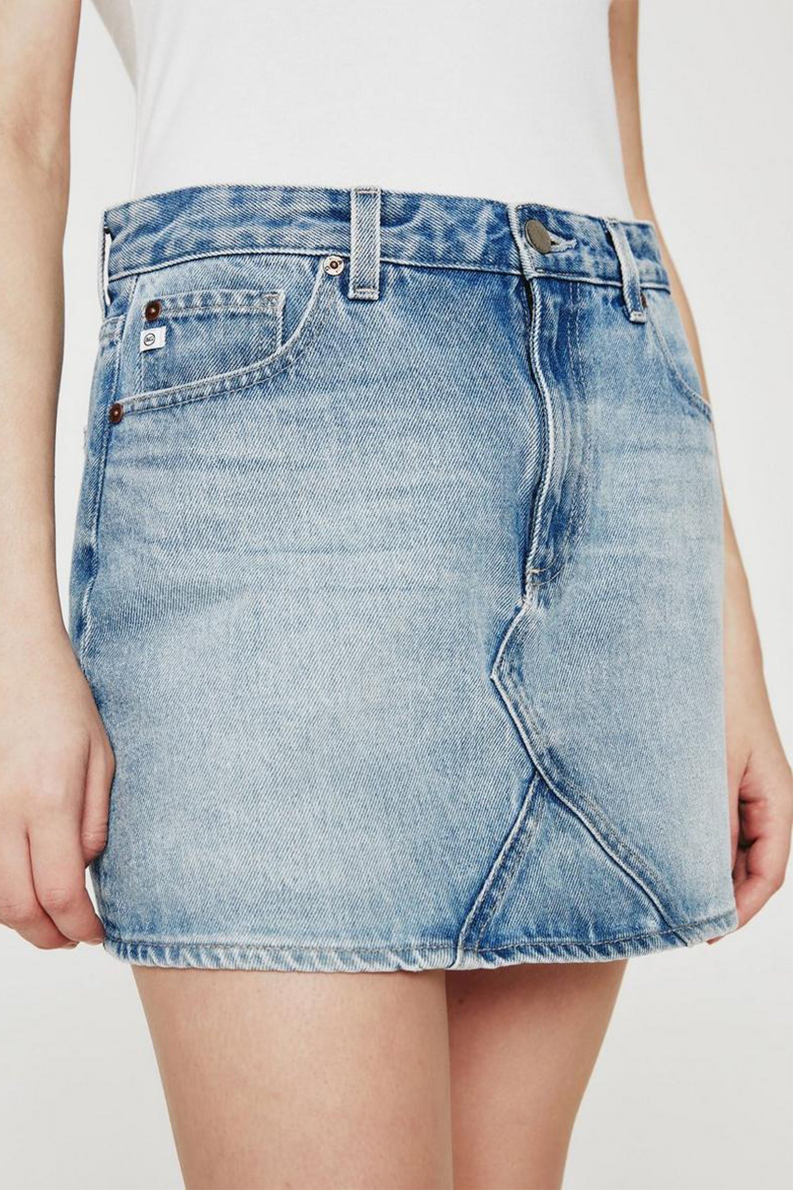 AG Remy Skirt