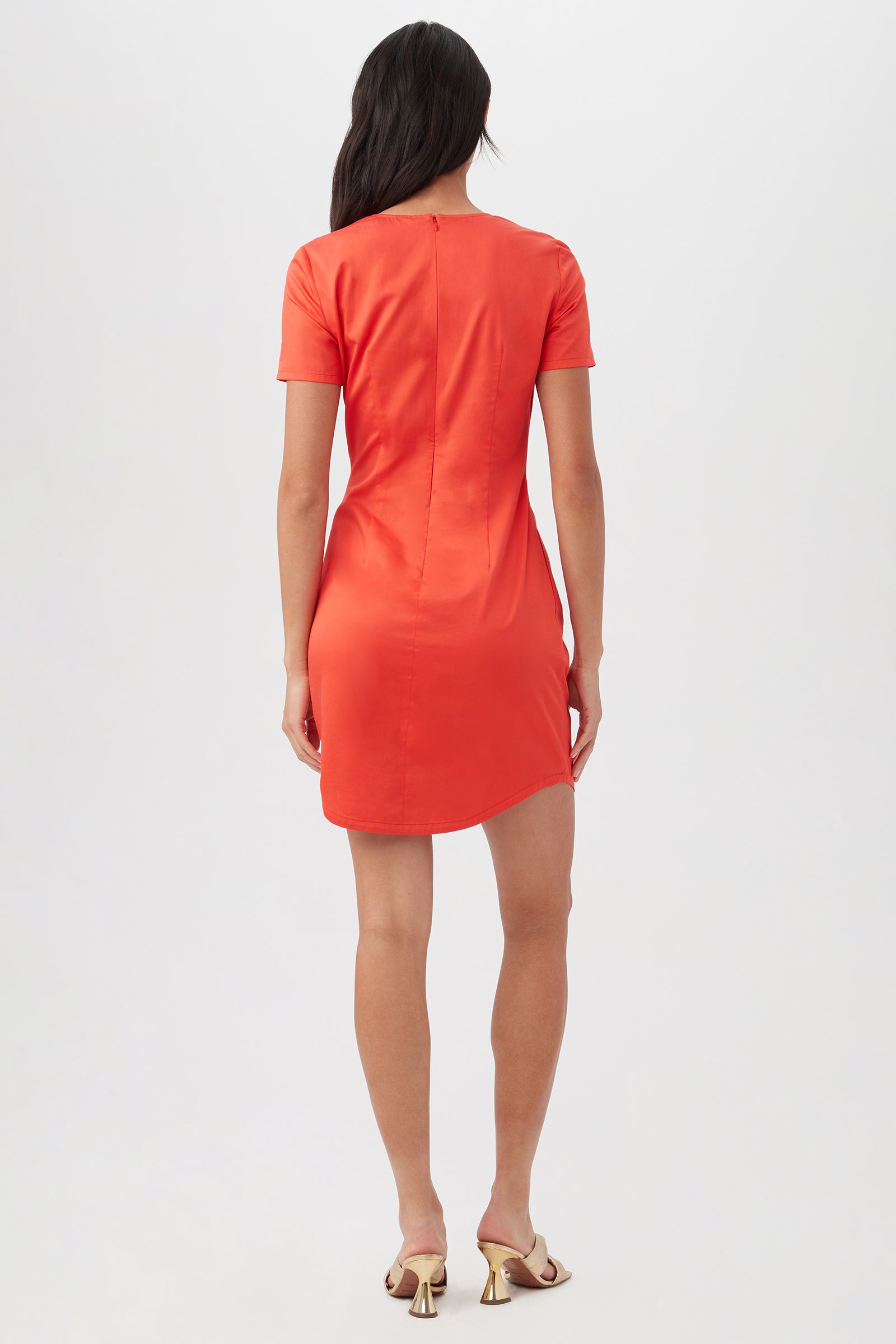 Crew Dress