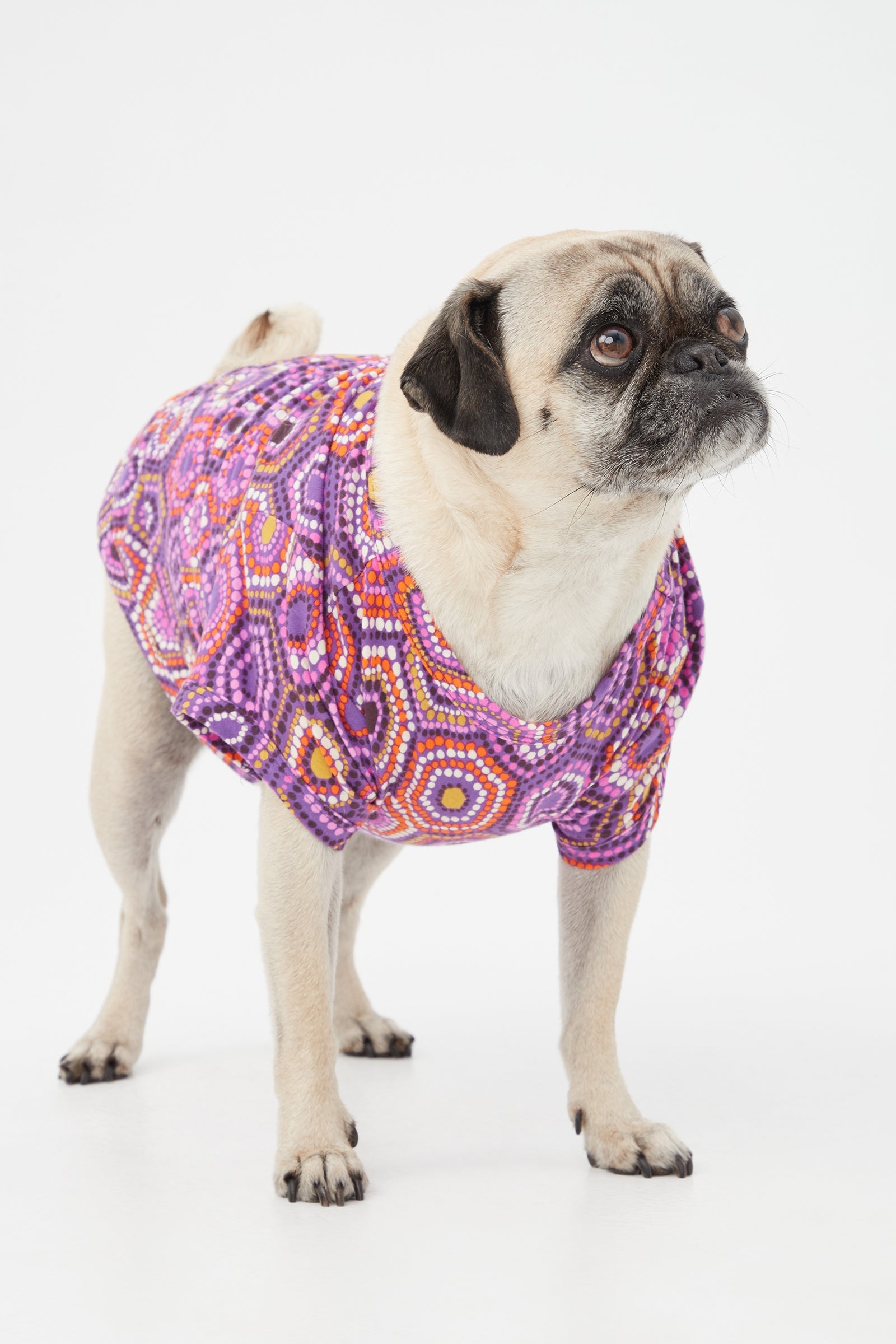 Honeycomb Dots Short Sleeve Jersey Dog Pajama Shirt