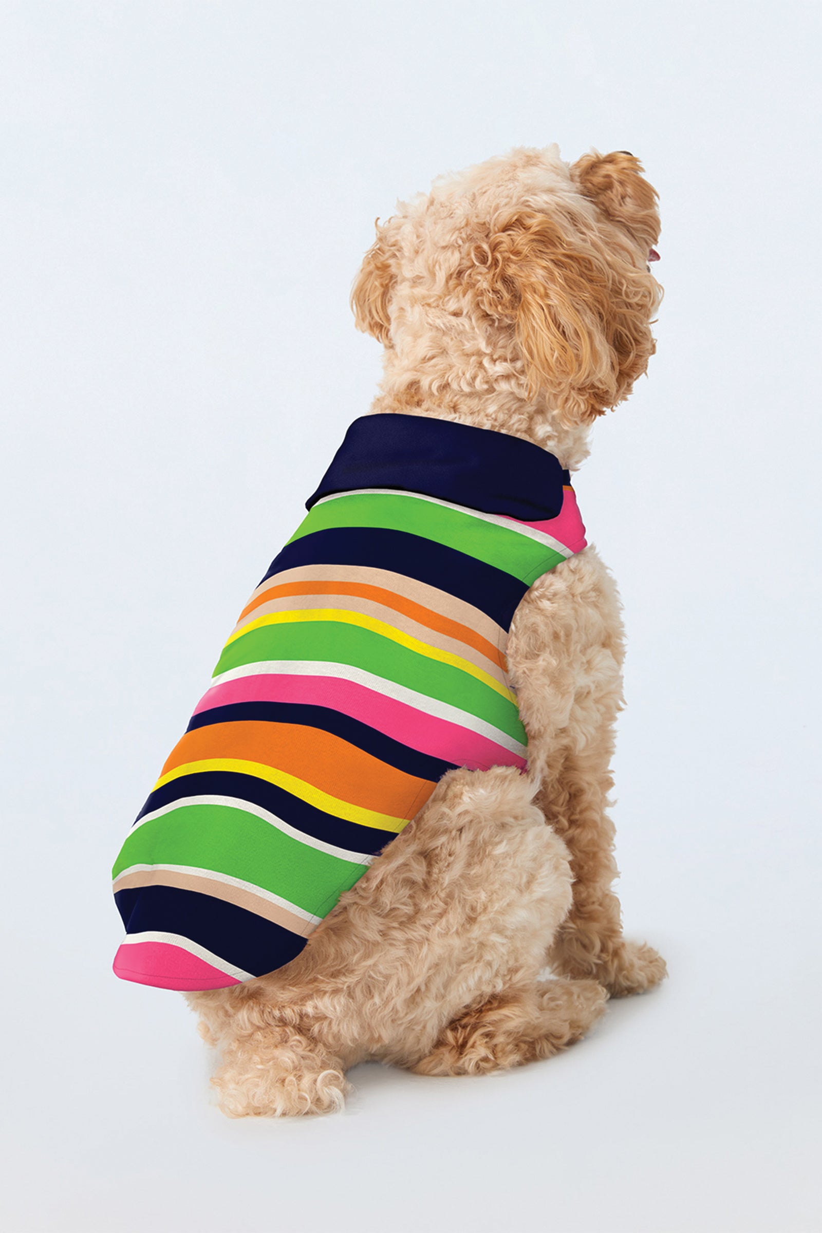 Dog Pajama Shirt - Poolside Stripe Poplin
