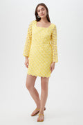 Ariella Dress