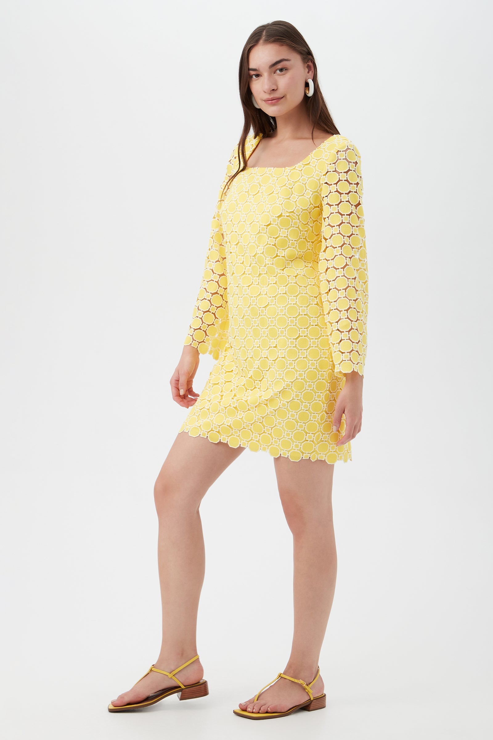 Ariella Dress