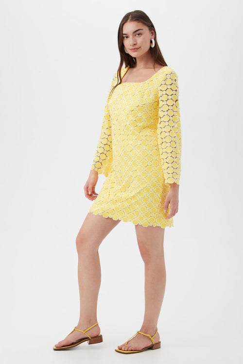 Ariella Dress