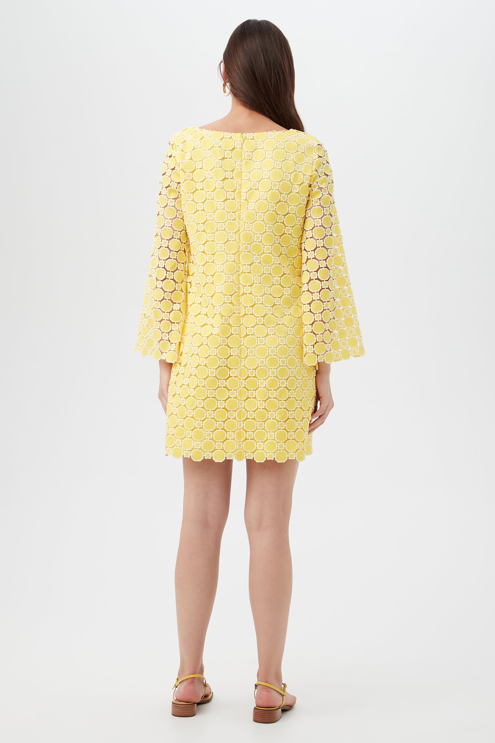Ariella Dress