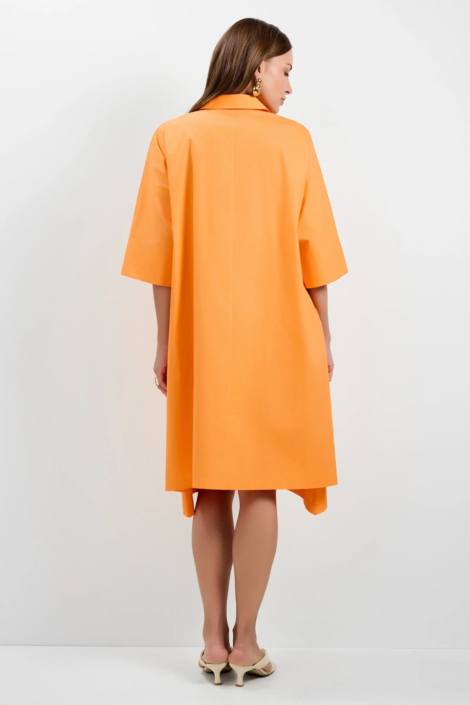 Seveso Shirt Dress