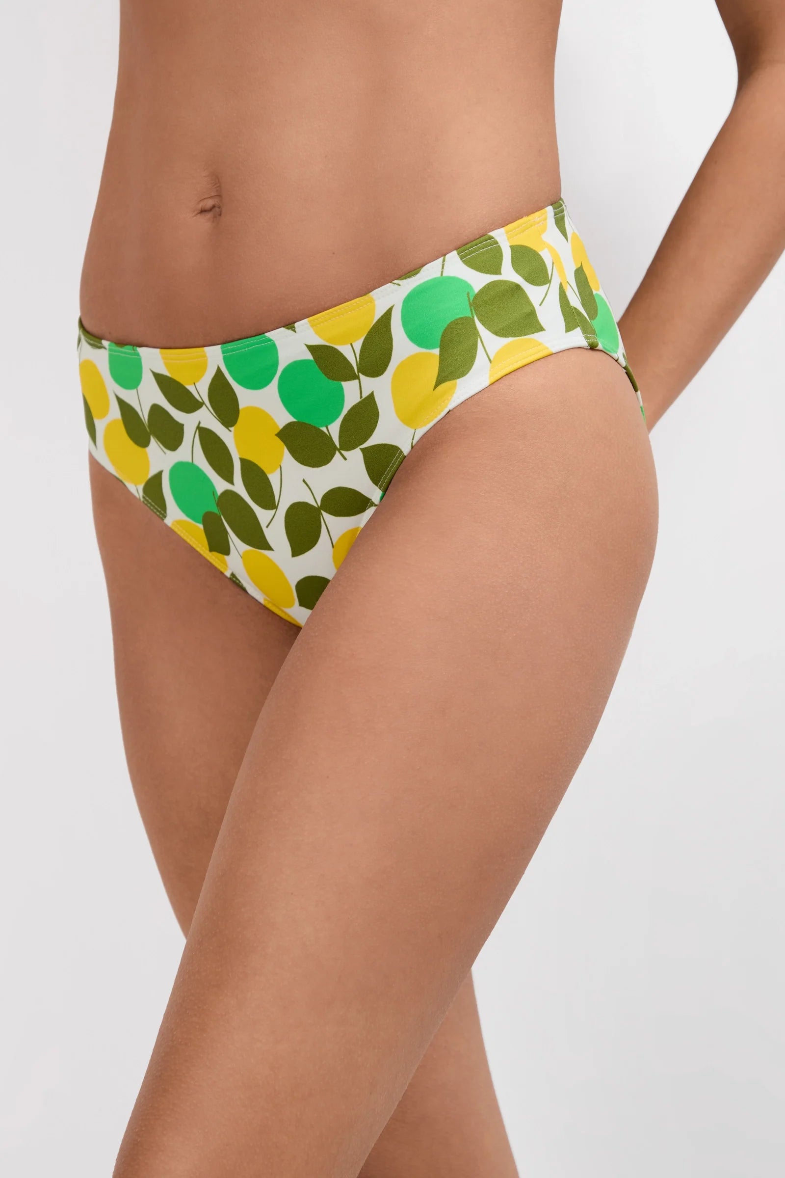 Arissa Hipster Swim Bottom