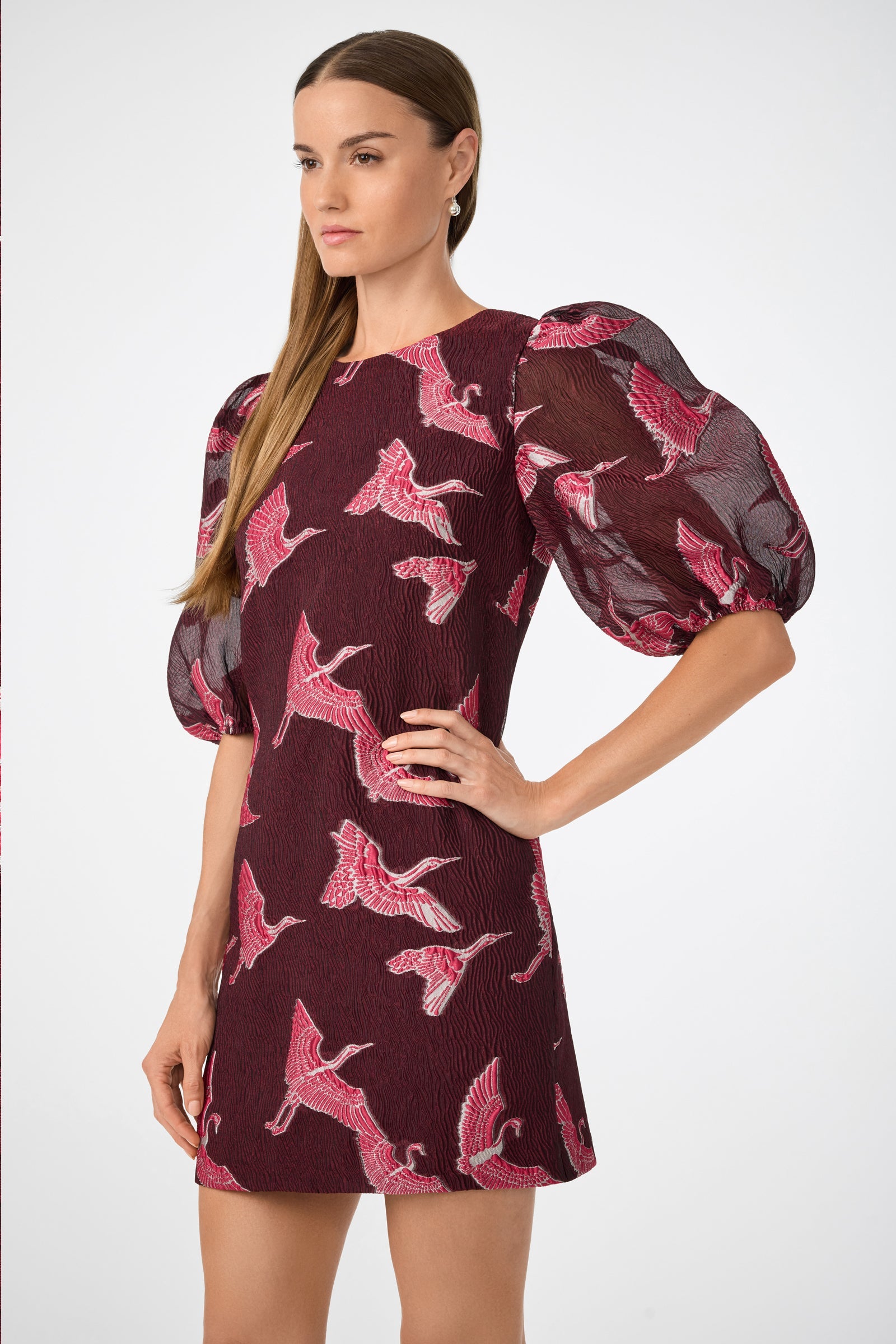 Ringo Short Puff Sleeve Mini Dress