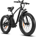 Outdoor electric bike with 48V/15Ah lithium battery &ndash; Black