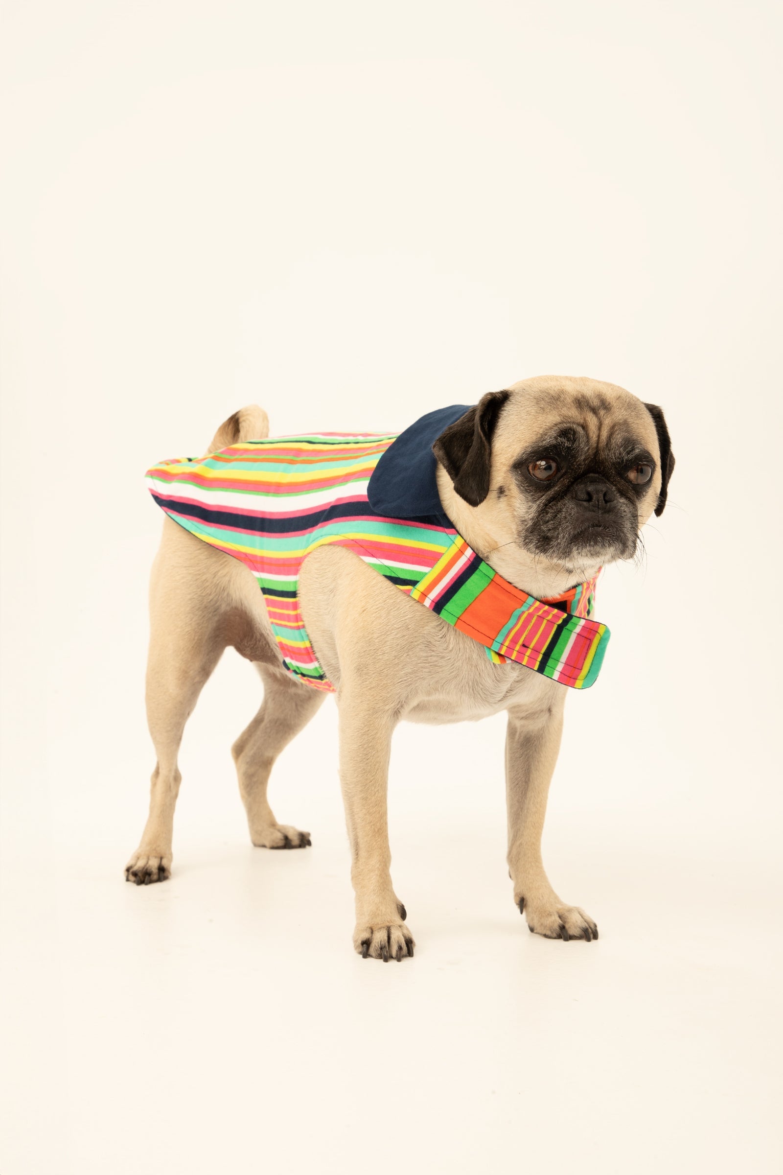 Stripe Lined Pet Pajama