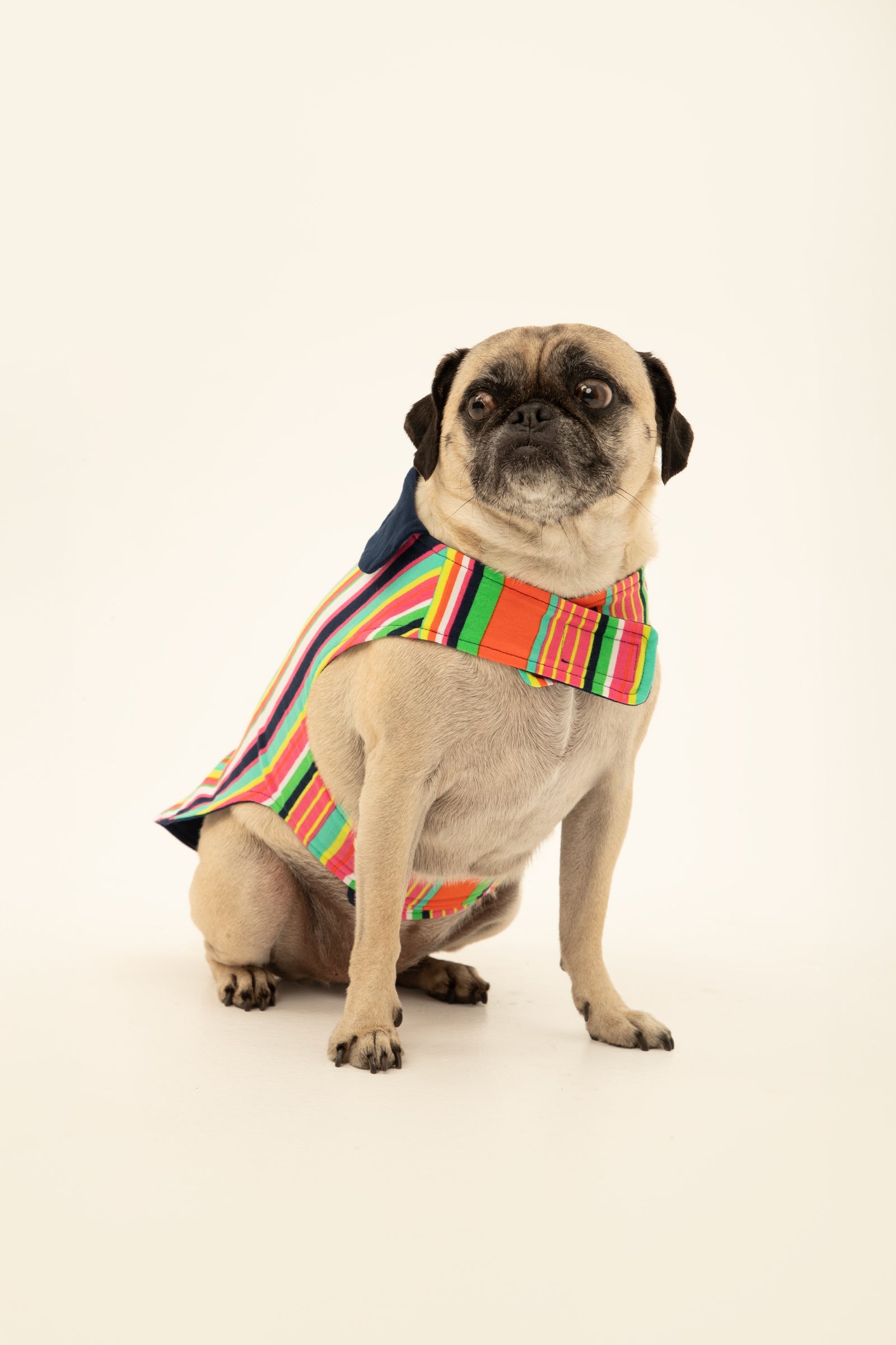 Stripe Lined Pet Pajama