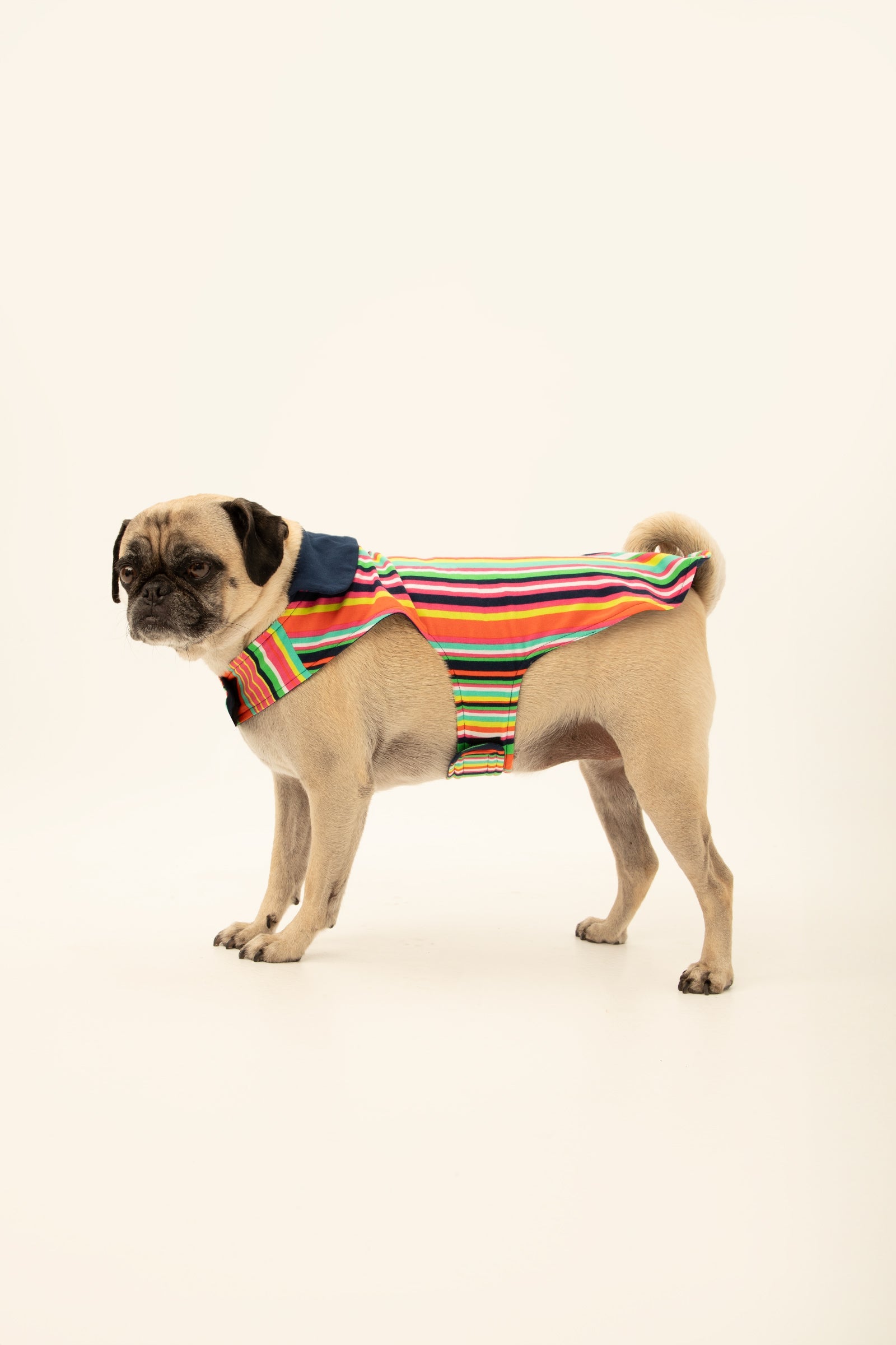 Stripe Lined Pet Pajama